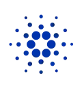 Blockchain Development Services Technologies Section Icon: Cardano