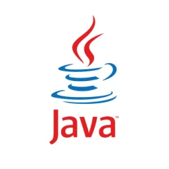 Custom Software Development Technology Icon: Java