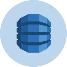 Argonteq Healthcare Software Development Core Technologies Icon