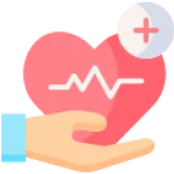 Healthcare Software Development Services Icon